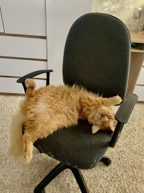 Фуфля, с. Тамбовка