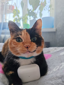 Нюра, с. Тамбовка