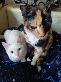 Баффи и Нюша, с. Овсянка