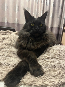 Граф, с. Петропавловка, Ивановский округ