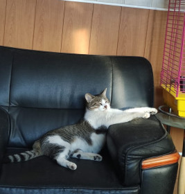 Антоша, г. Нерюнгри