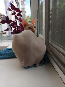 Мотя, г. Благовещенск