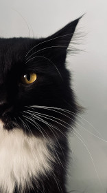 Арчи, с. Дактуй