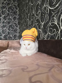 Красавчик, с. Никольское