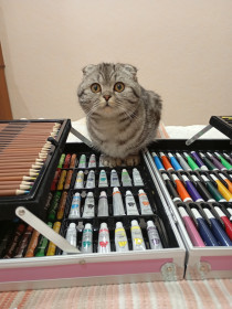 Мята, г. Благовещенск