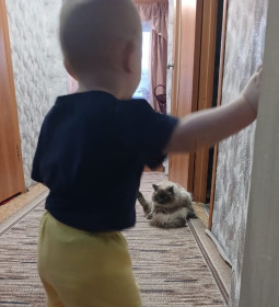 Пушок, пгт Прогресс