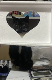 Гараж, с. Петропавловка, Михайловский район