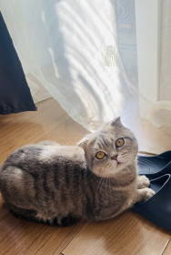 Томас, г. Благовещенск