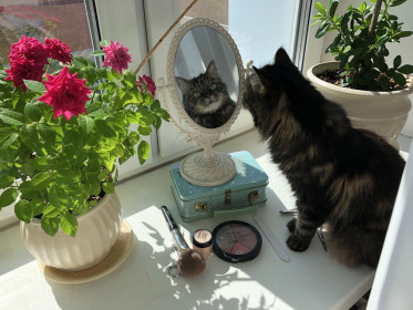 Анфиса, г. Благовещенск