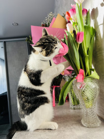 Гриша, пгт Новобурейский