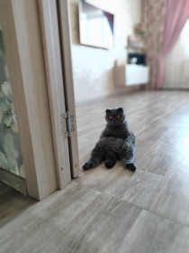 Анфиса Антоновна, г. Благовещенск