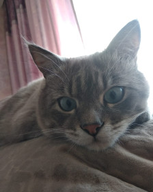 Михаил Сергеевич, г. Благовещенск