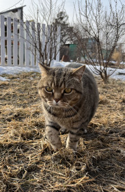 Марти, г. Благовещенск