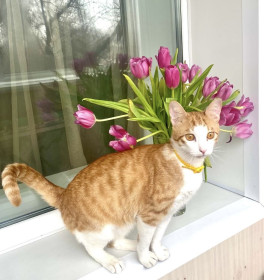 Сан Саныч ♥️, г. Благовещенск