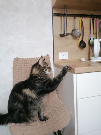 Соня, пгт Архара