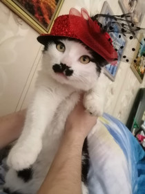 Чаплин, г. Свободный