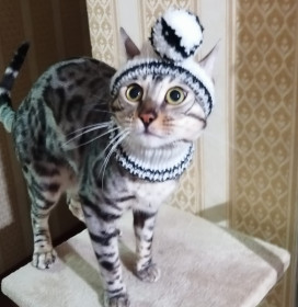 Соня, г. Тында