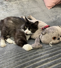 Степан, г. Белогорск