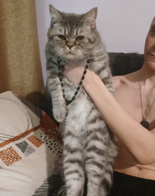 Майор, г. Благовещенск