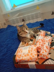 Герочка, г. Благовещенск