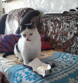 Лариса Ивановна, г. Шимановск