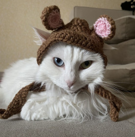 Белка, г. Благовещенск