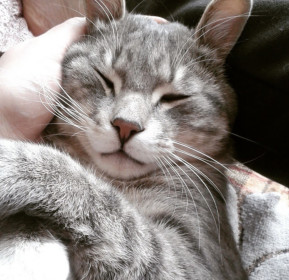 Филимон, г. Благовещенск