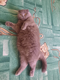 Зинаида, г. Белогорск