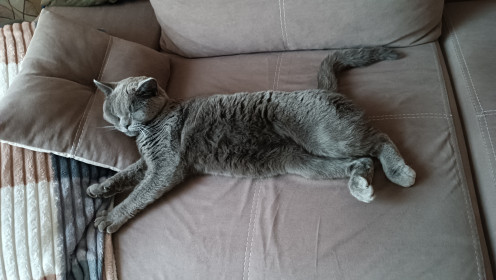 Бритни, с. Соловьевск