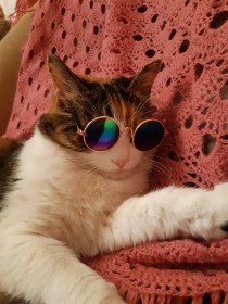 Муратоша, с. Владимировка