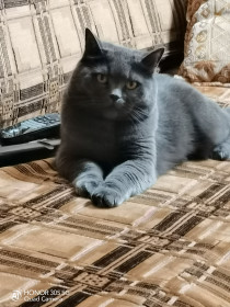 Мика, пгт Новобурейский