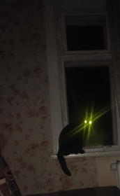 Чётик, Сосновый Бор