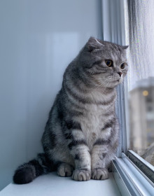 Саня, г. Райчихинск