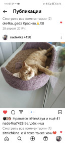 Соня, г. Хабаровск