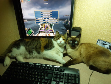 Муратоша и Ника, с. Владимировка