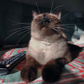 Няшка, г. Благовещенск