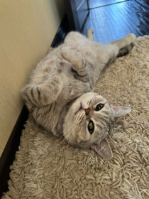 Мусима, с. Тамбовка