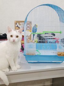 Валера, г. Благовещенск