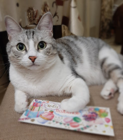 Эльза, г. Благовещенск