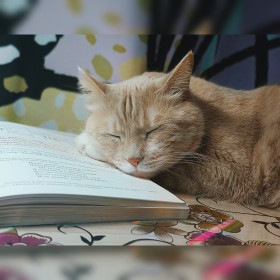 Персиваль, с. Екатеринославка