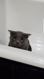 Ёся, г. Благовещенск