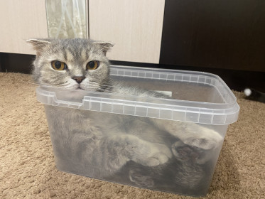 Сонюша, п. Февральск