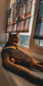 Ричи, г. Тында