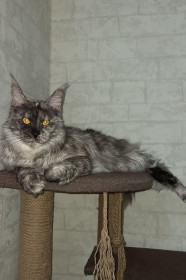 Мусяша, пгт Прогресс