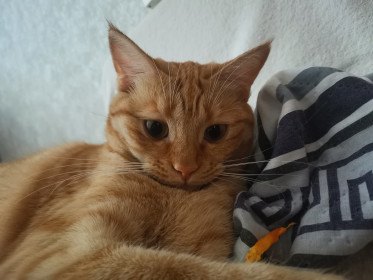 Мурочка, г. Благовещенск