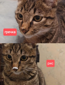 Мотя, г. Шимановск