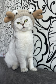 Боня, с. Уруша