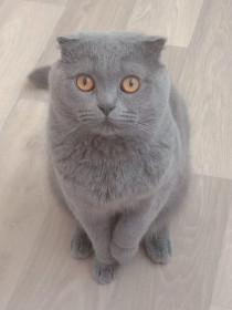 Бантик, г. Райчихинск