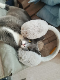 Сима, г. Благовещенск