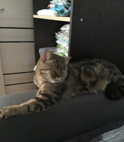 Маруся, г. Благовещенск